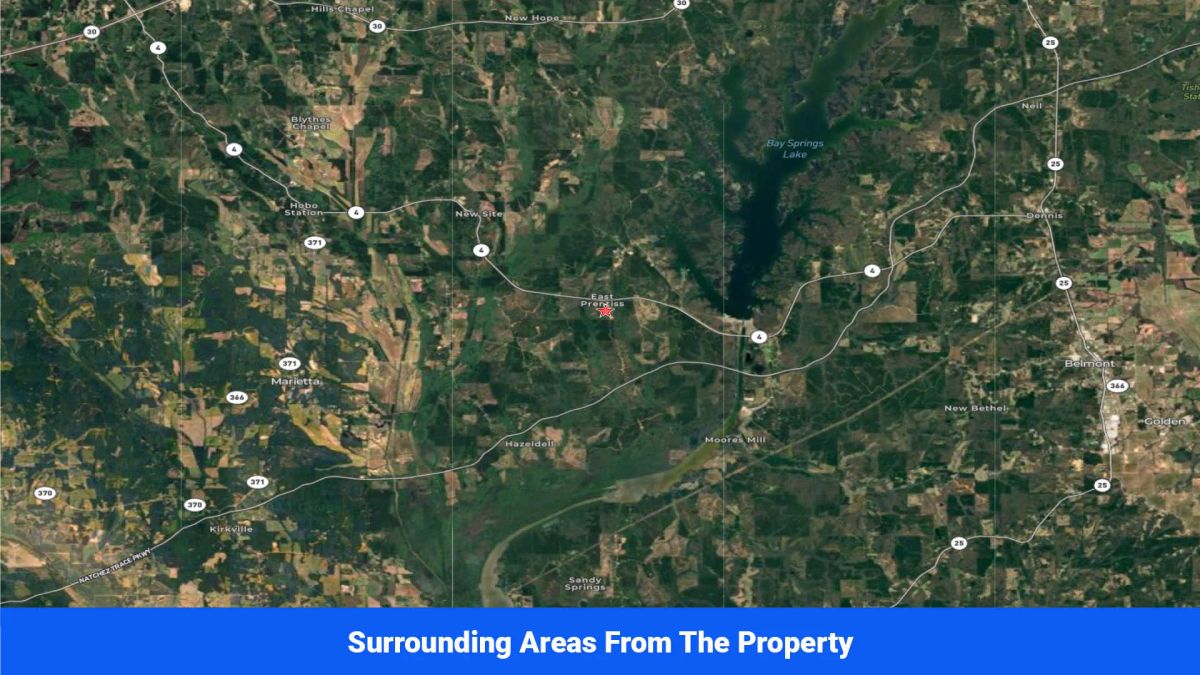 Decorative background for Prentiss County’s Hidden Treasure: 9 Lot’s Available With No Restrictions! image 34