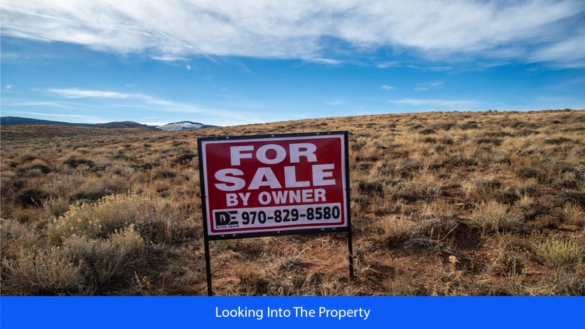 Decorative background for 36.8 Acres Of Red Rock Majesty In Larimer County, Colorado image 13