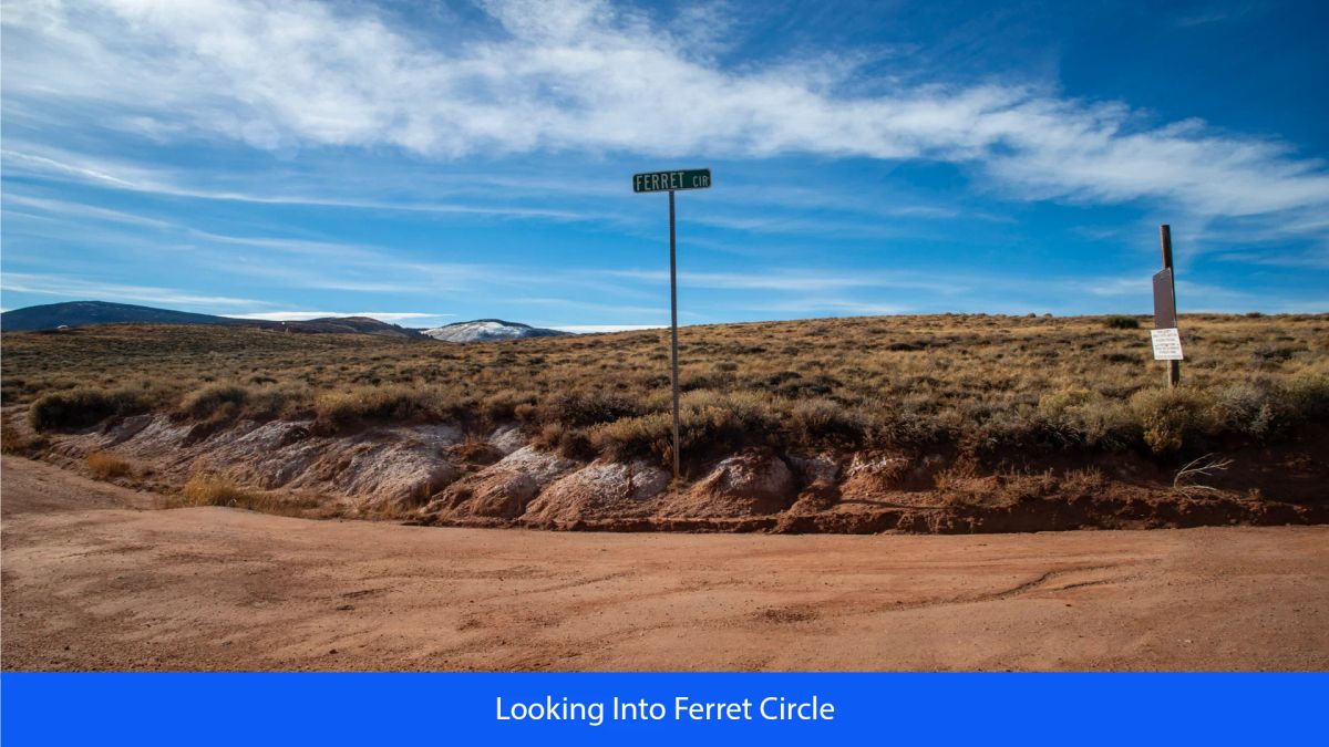 Decorative background for 36.8 Acres Of Red Rock Majesty In Larimer County, Colorado image 14