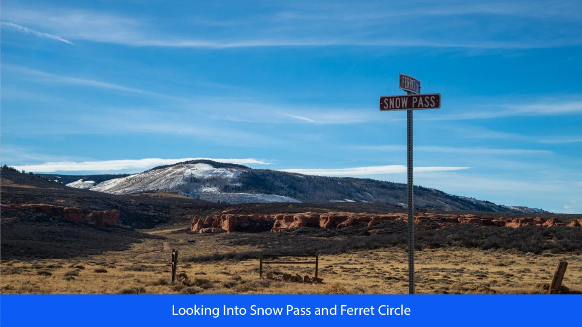 Decorative background for 36.8 Acres Of Red Rock Majesty In Larimer County, Colorado image 15
