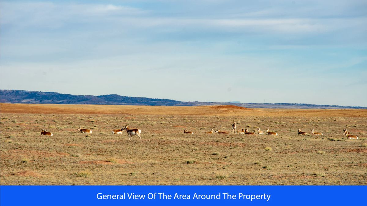 Decorative background for 36.8 Acres Of Red Rock Majesty In Larimer County, Colorado image 18