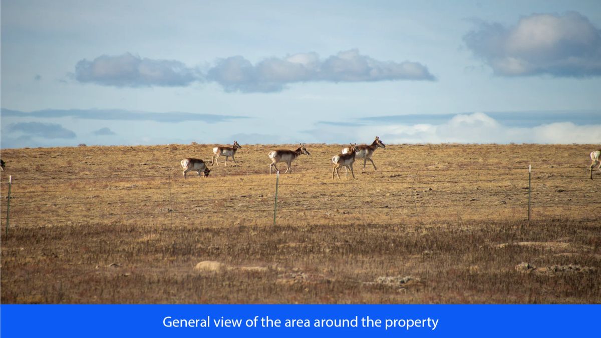 Decorative background for 36.8 Acres Of Red Rock Majesty In Larimer County, Colorado image 28