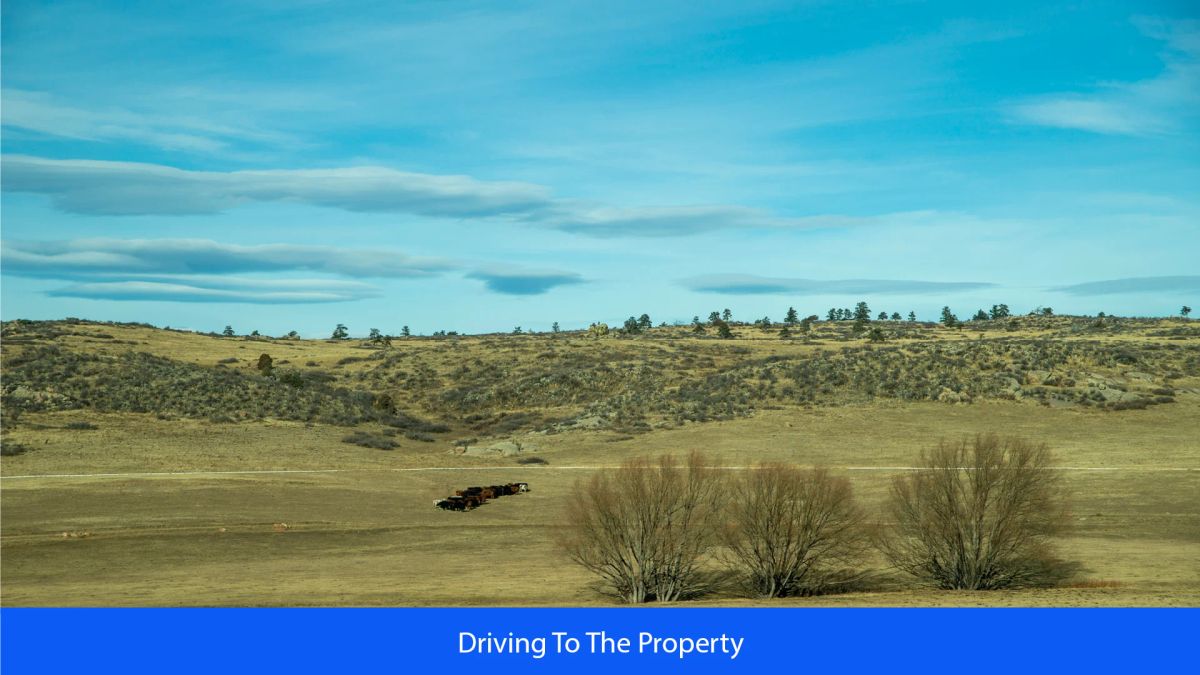 Decorative background for 36.8 Acres Of Red Rock Majesty In Larimer County, Colorado image 30