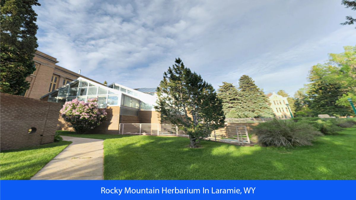 Decorative background for 36.8 Acres Of Red Rock Majesty In Larimer County, Colorado image 46