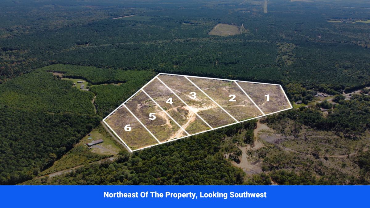 Choctaw County's Premier Jewel: A Stunning 6-Lot Subdivision Awaits! - Image 2