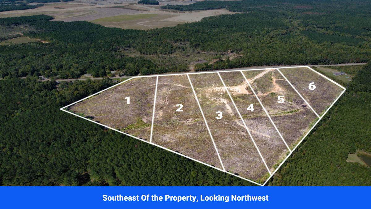 Decorative background for Choctaw County's Premier Jewel: A Stunning 6-Lot Subdivision Awaits!  image 5