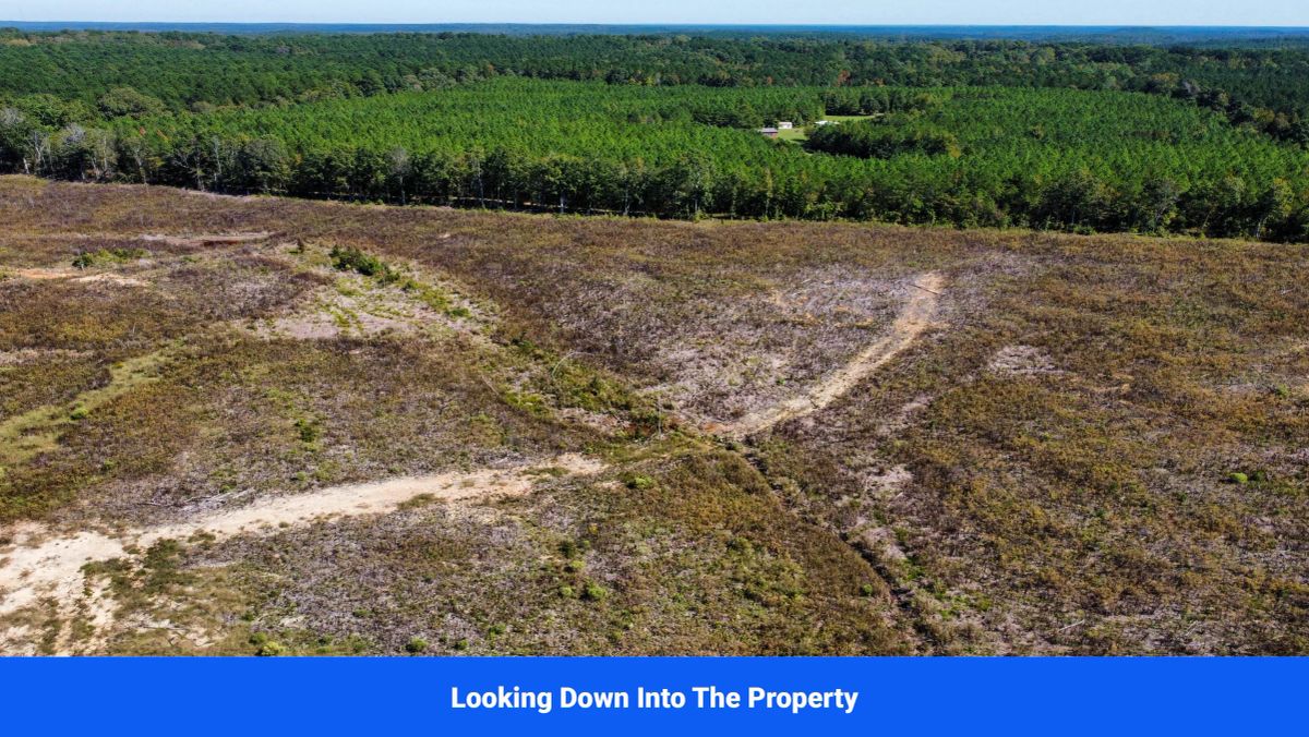 Decorative background for Choctaw County's Premier Jewel: A Stunning 6-Lot Subdivision Awaits!  image 10