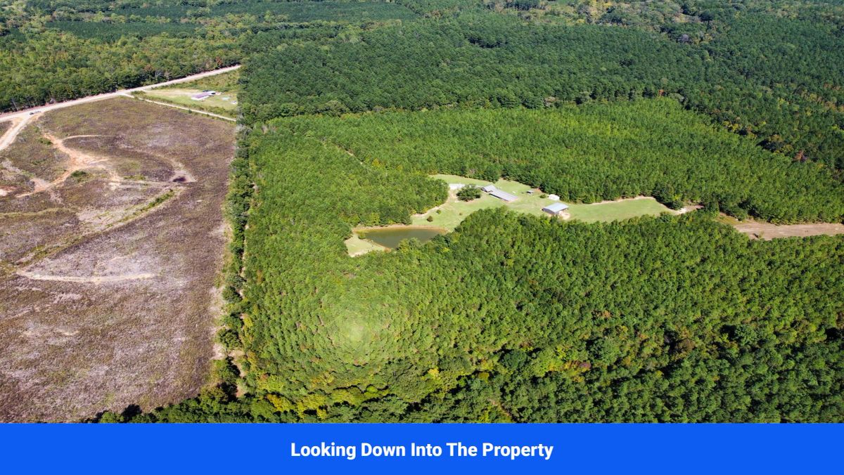 Decorative background for Choctaw County's Premier Jewel: A Stunning 6-Lot Subdivision Awaits!  image 11