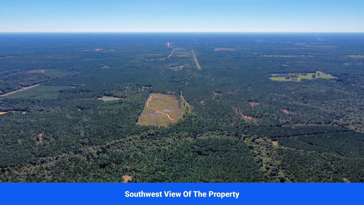 Decorative background for Choctaw County's Premier Jewel: A Stunning 6-Lot Subdivision Awaits!  image 14