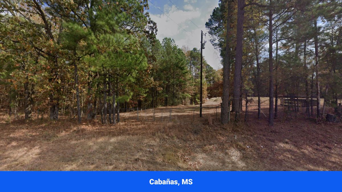 Decorative background for Choctaw County's Premier Jewel: A Stunning 6-Lot Subdivision Awaits!  image 20