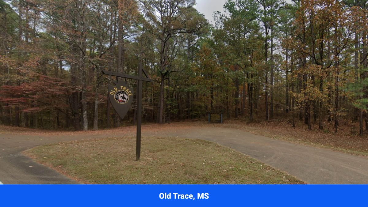 Decorative background for Choctaw County's Premier Jewel: A Stunning 6-Lot Subdivision Awaits!  image 24