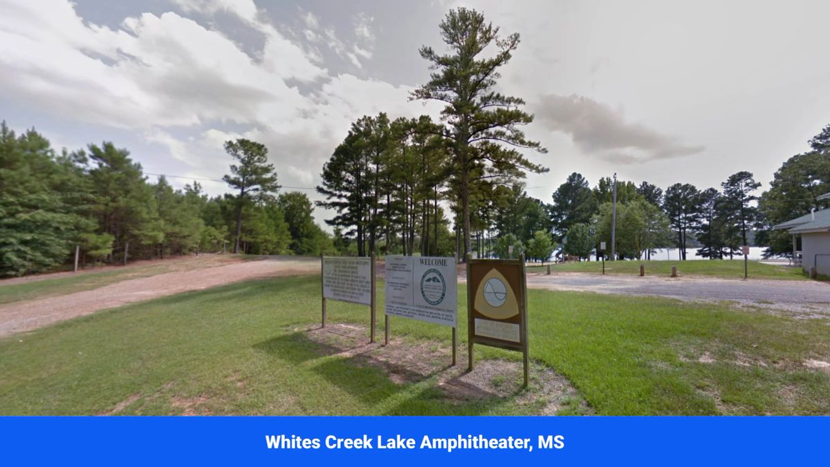 Decorative background for Choctaw County's Premier Jewel: A Stunning 6-Lot Subdivision Awaits!  image 26