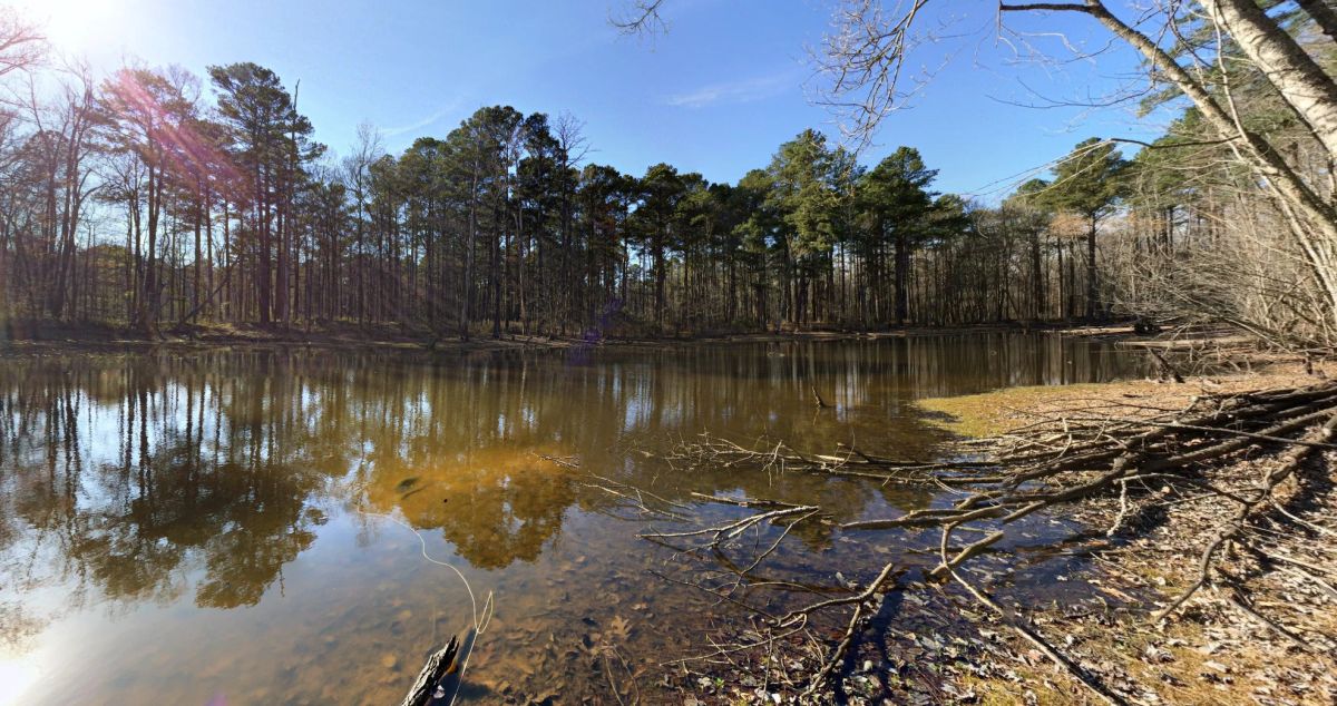 Decorative background for Choctaw County's Premier Jewel: A Stunning 6-Lot Subdivision Awaits!  image 32