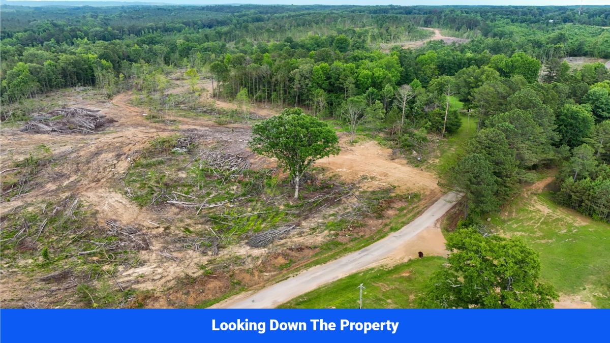 Webster, Mississippi’s Hidden Gem: Luxury 8‑Lot Subdivision! - Image 4