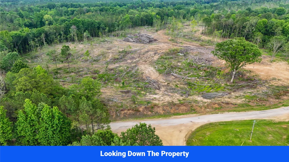 Decorative background for Webster, Mississippi’s Hidden Gem: Luxury 8‑Lot Subdivision! image 5