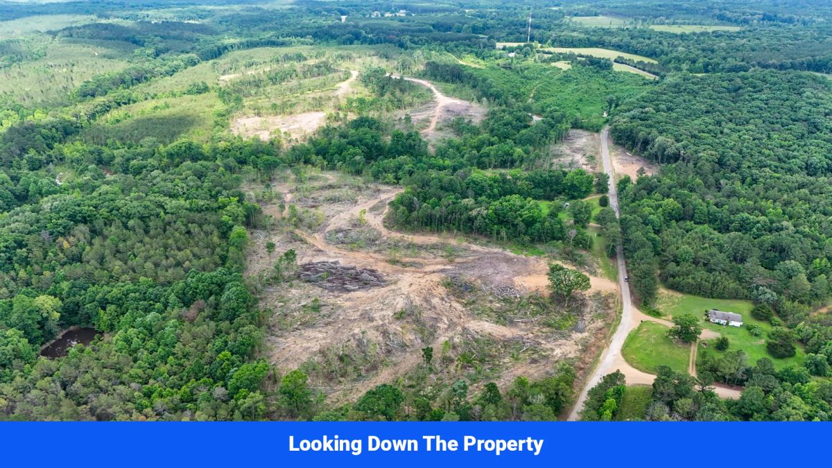 Decorative background for Webster, Mississippi’s Hidden Gem: Luxury 8‑Lot Subdivision! image 6