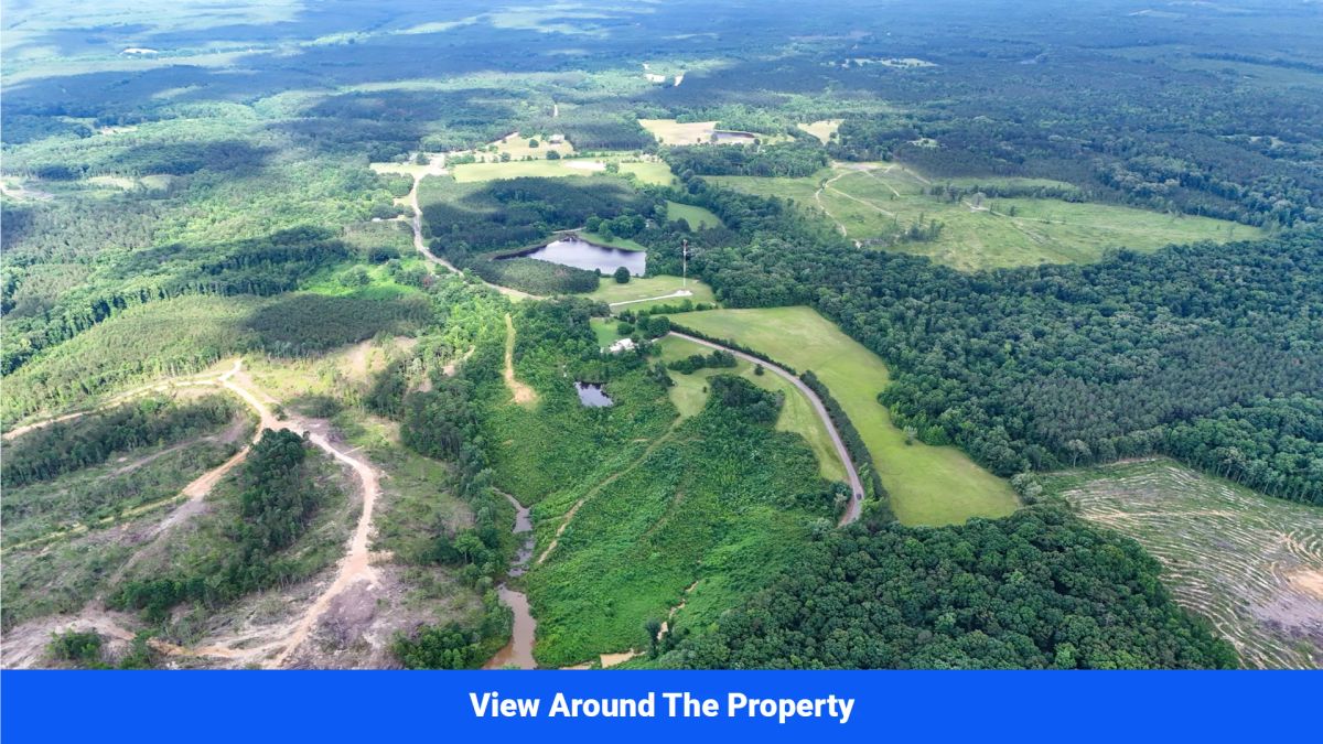 Decorative background for Webster, Mississippi’s Hidden Gem: Luxury 8‑Lot Subdivision! image 7