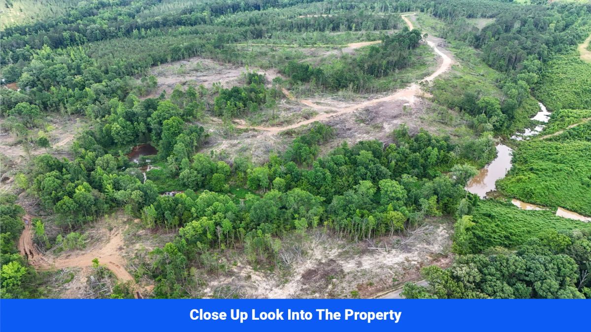 Decorative background for Webster, Mississippi’s Hidden Gem: Luxury 8‑Lot Subdivision! image 9