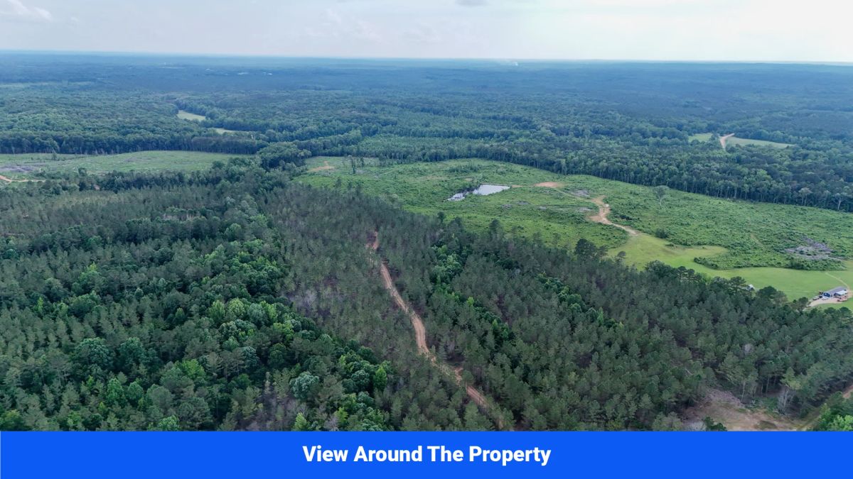 Decorative background for Webster, Mississippi’s Hidden Gem: Luxury 8‑Lot Subdivision! image 10