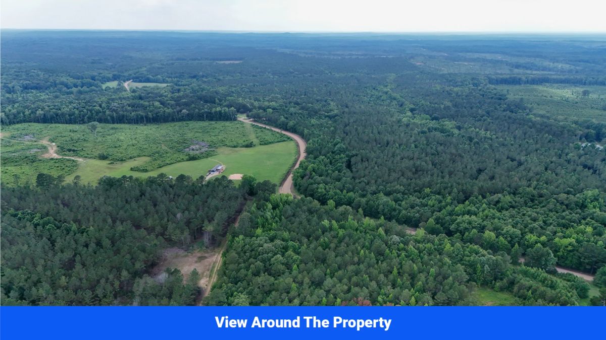 Decorative background for Webster, Mississippi’s Hidden Gem: Luxury 8‑Lot Subdivision! image 11