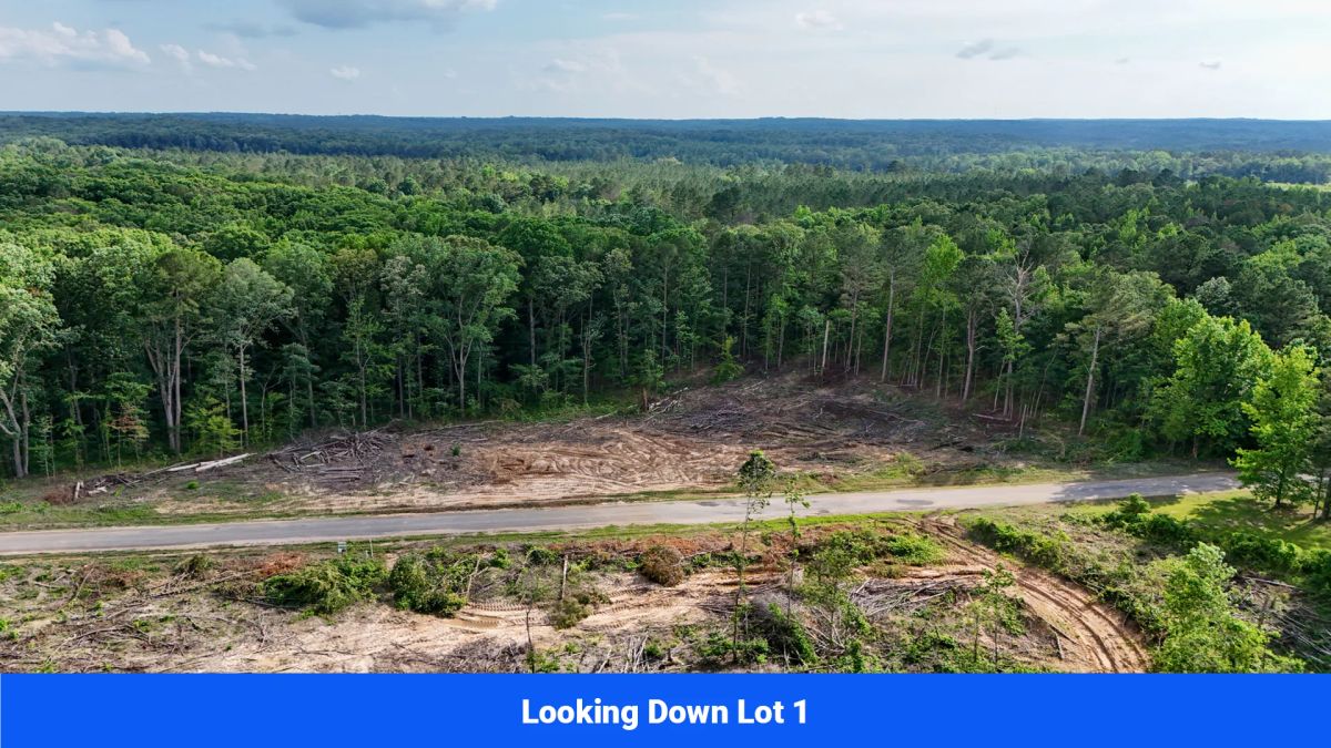 Decorative background for Webster, Mississippi’s Hidden Gem: Luxury 8‑Lot Subdivision! image 12