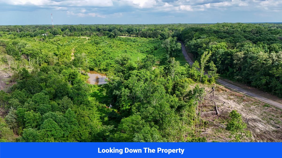 Decorative background for Webster, Mississippi’s Hidden Gem: Luxury 8‑Lot Subdivision! image 13