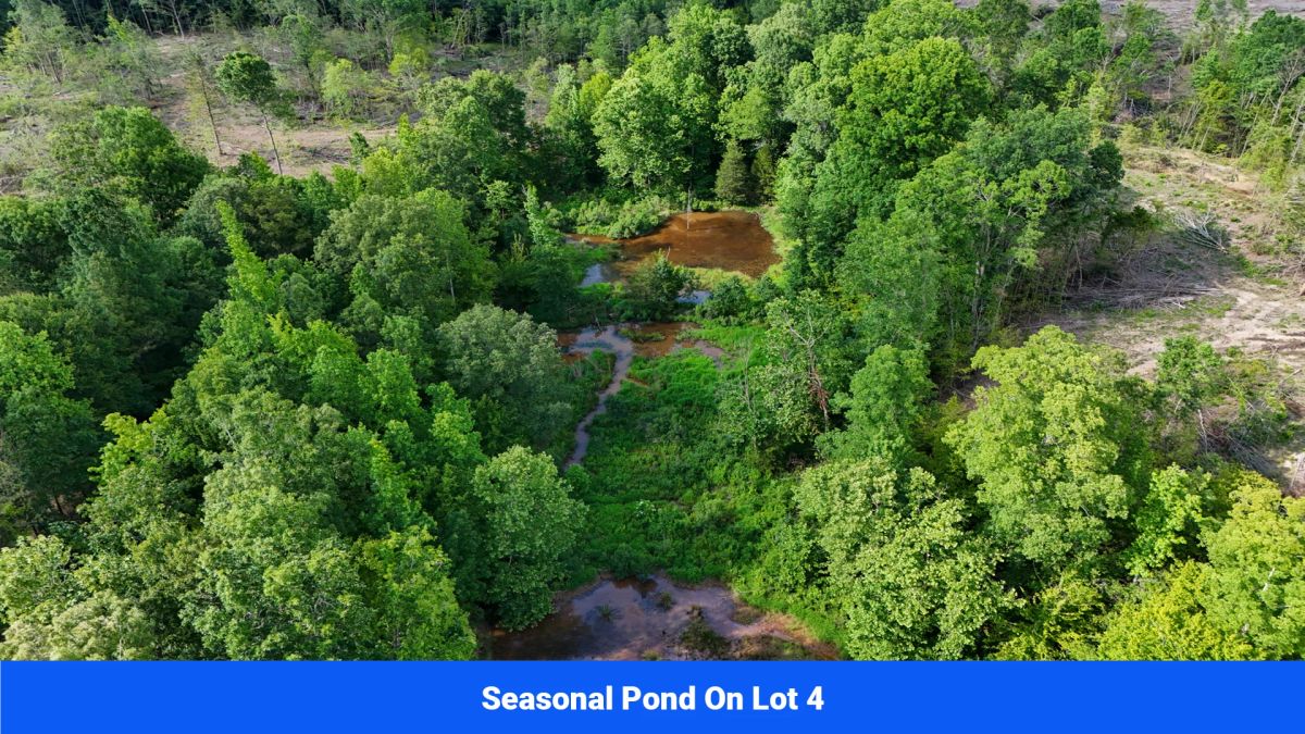 Decorative background for Webster, Mississippi’s Hidden Gem: Luxury 8‑Lot Subdivision! image 14