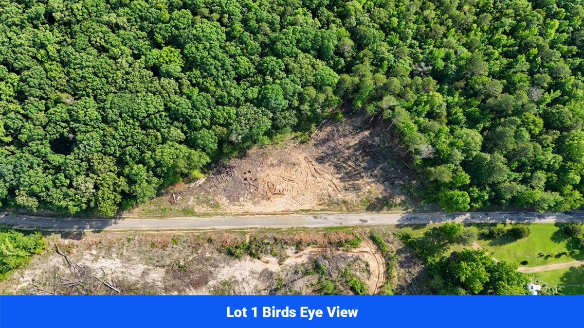 Decorative background for Webster, Mississippi’s Hidden Gem: Luxury 8‑Lot Subdivision! image 15