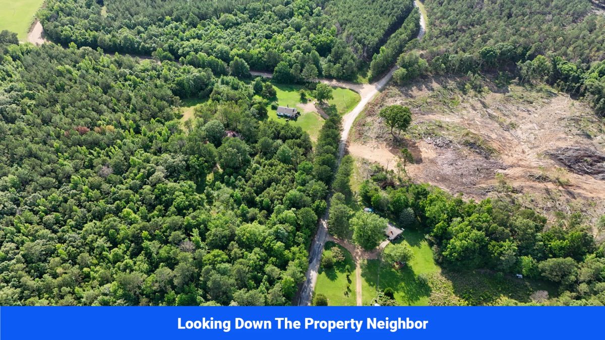 Decorative background for Webster, Mississippi’s Hidden Gem: Luxury 8‑Lot Subdivision! image 16