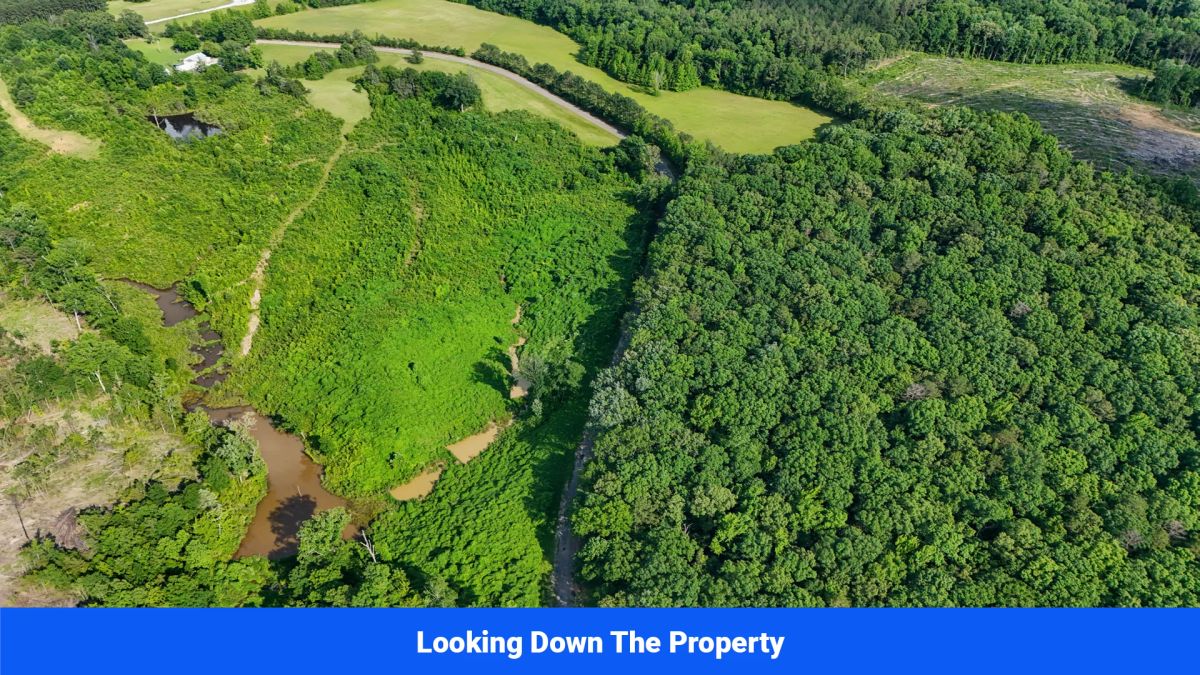 Decorative background for Webster, Mississippi’s Hidden Gem: Luxury 8‑Lot Subdivision! image 17
