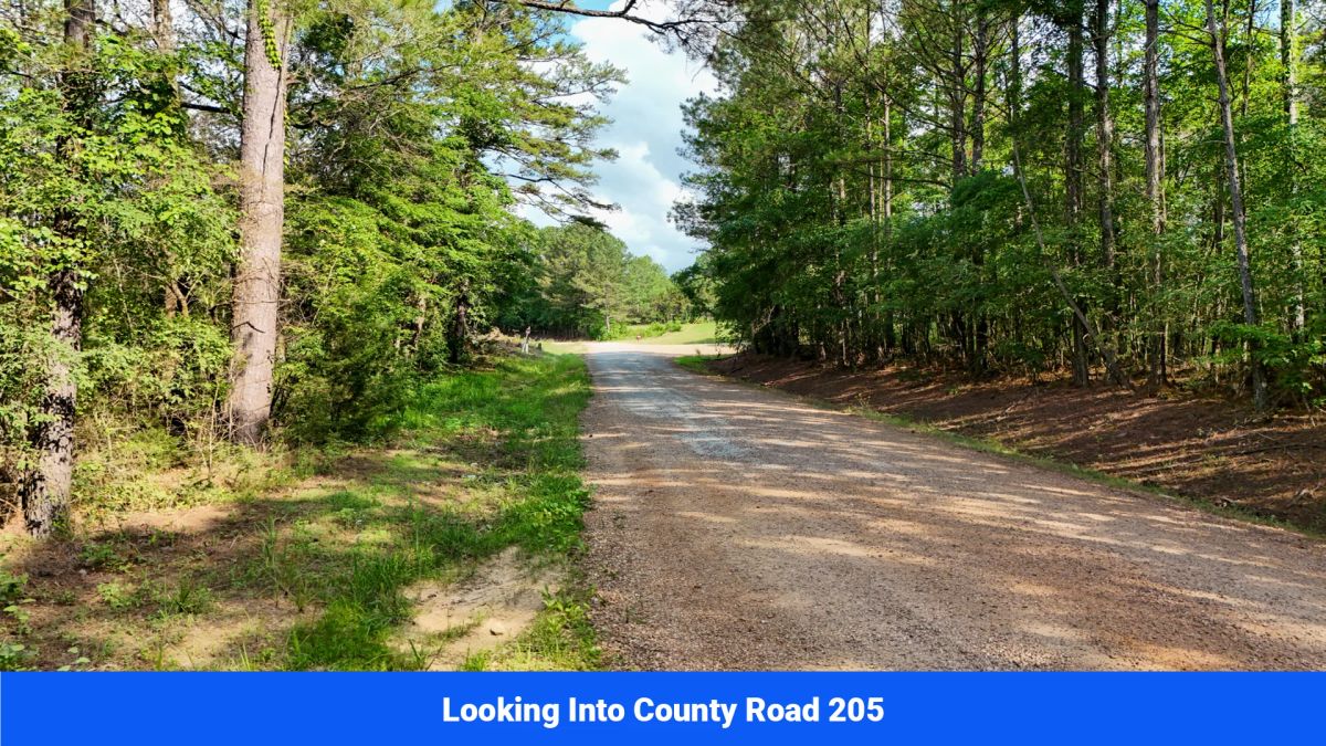 Decorative background for Webster, Mississippi’s Hidden Gem: Luxury 8‑Lot Subdivision! image 18