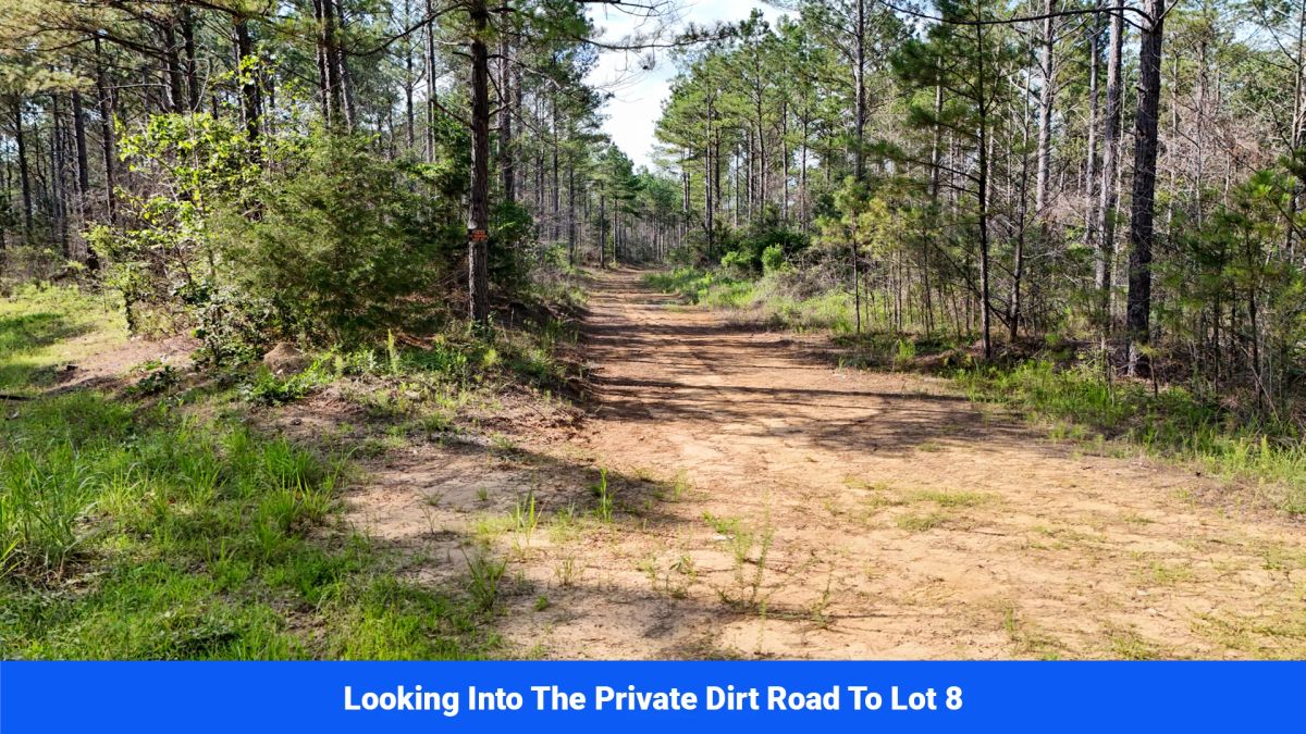 Decorative background for Webster, Mississippi’s Hidden Gem: Luxury 8‑Lot Subdivision! image 19