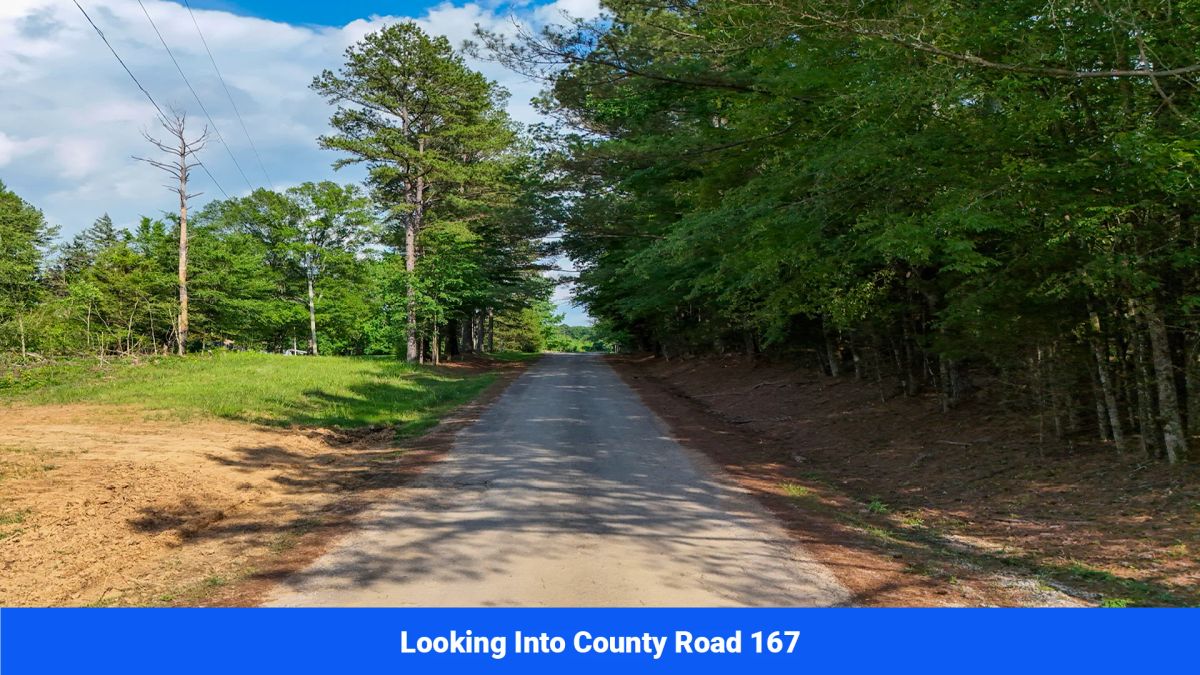 Decorative background for Webster, Mississippi’s Hidden Gem: Luxury 8‑Lot Subdivision! image 20