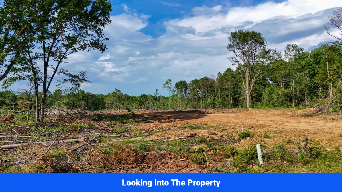 Decorative background for Webster, Mississippi’s Hidden Gem: Luxury 8‑Lot Subdivision! image 21