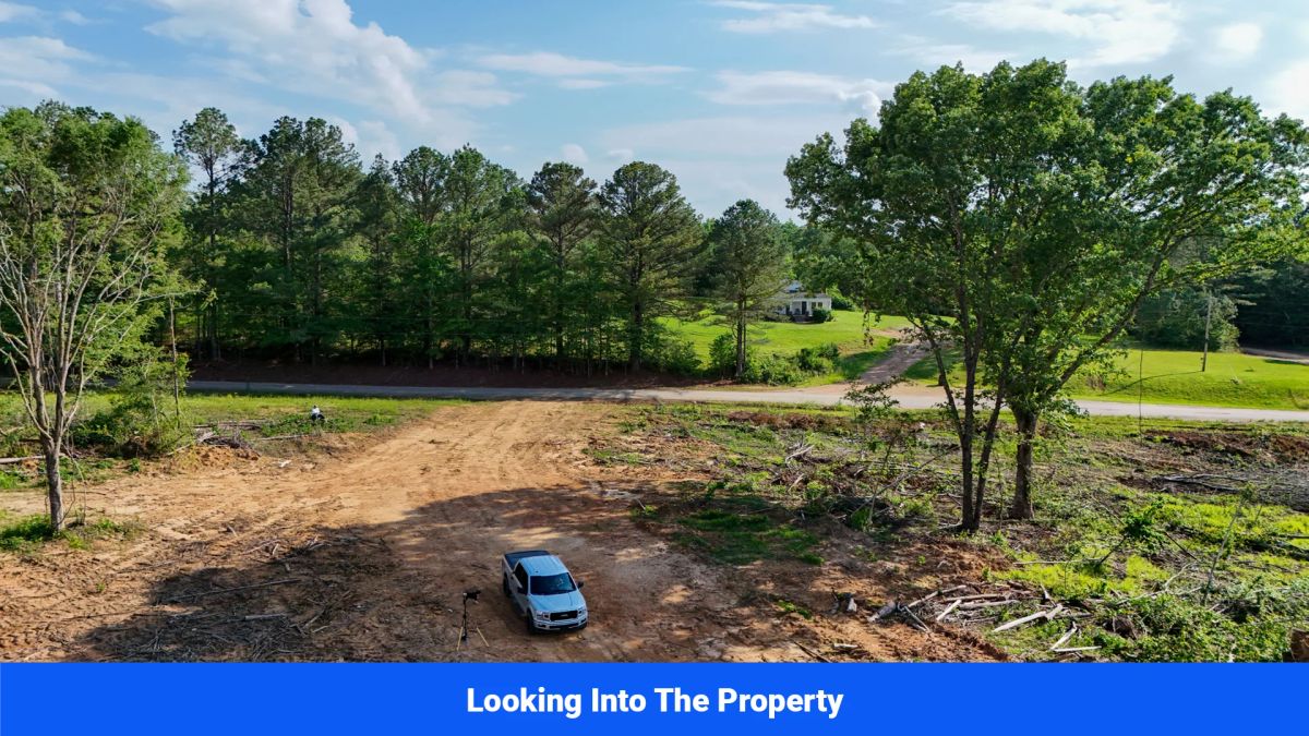 Decorative background for Webster, Mississippi’s Hidden Gem: Luxury 8‑Lot Subdivision! image 23