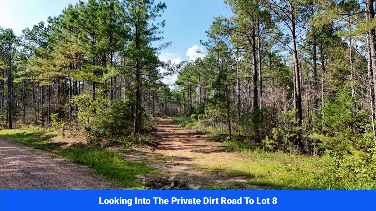 Decorative background for Webster, Mississippi’s Hidden Gem: Luxury 8‑Lot Subdivision! image 24
