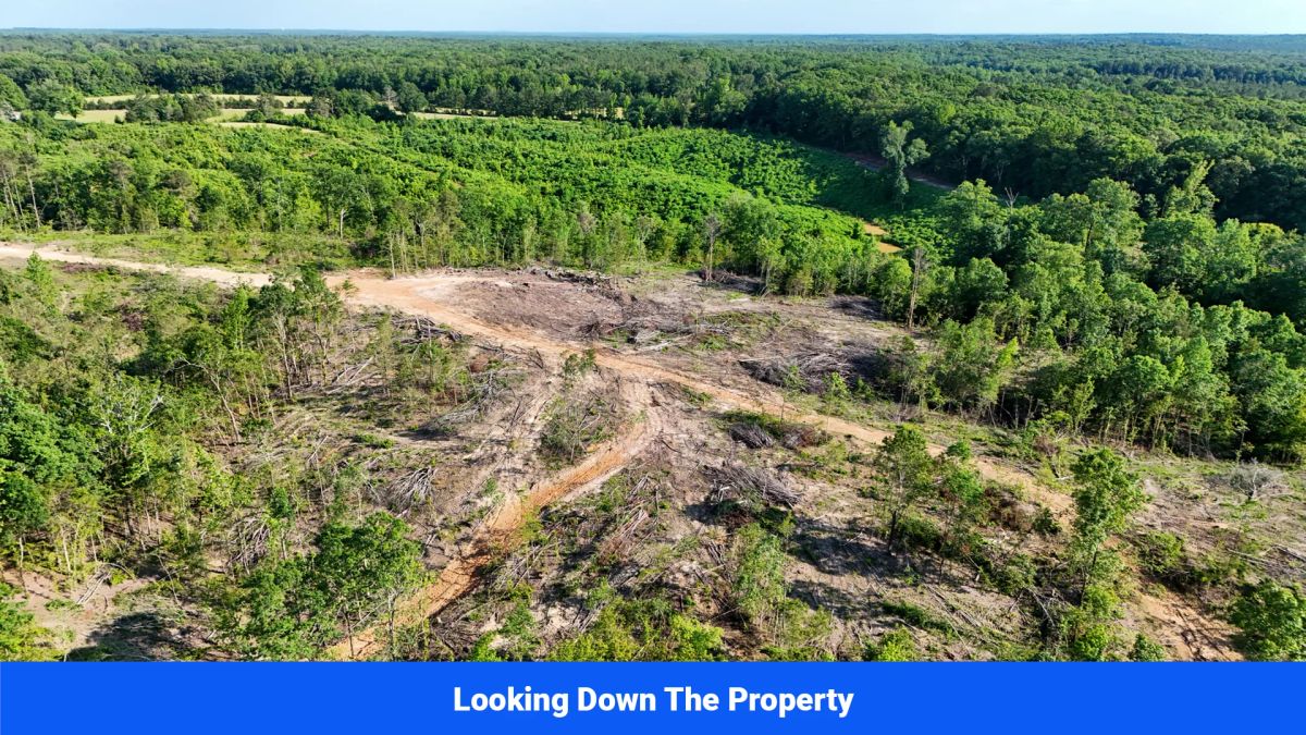 Decorative background for Webster, Mississippi’s Hidden Gem: Luxury 8‑Lot Subdivision! image 25