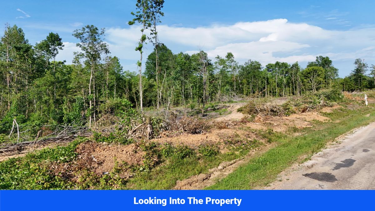 Decorative background for Webster, Mississippi’s Hidden Gem: Luxury 8‑Lot Subdivision! image 27