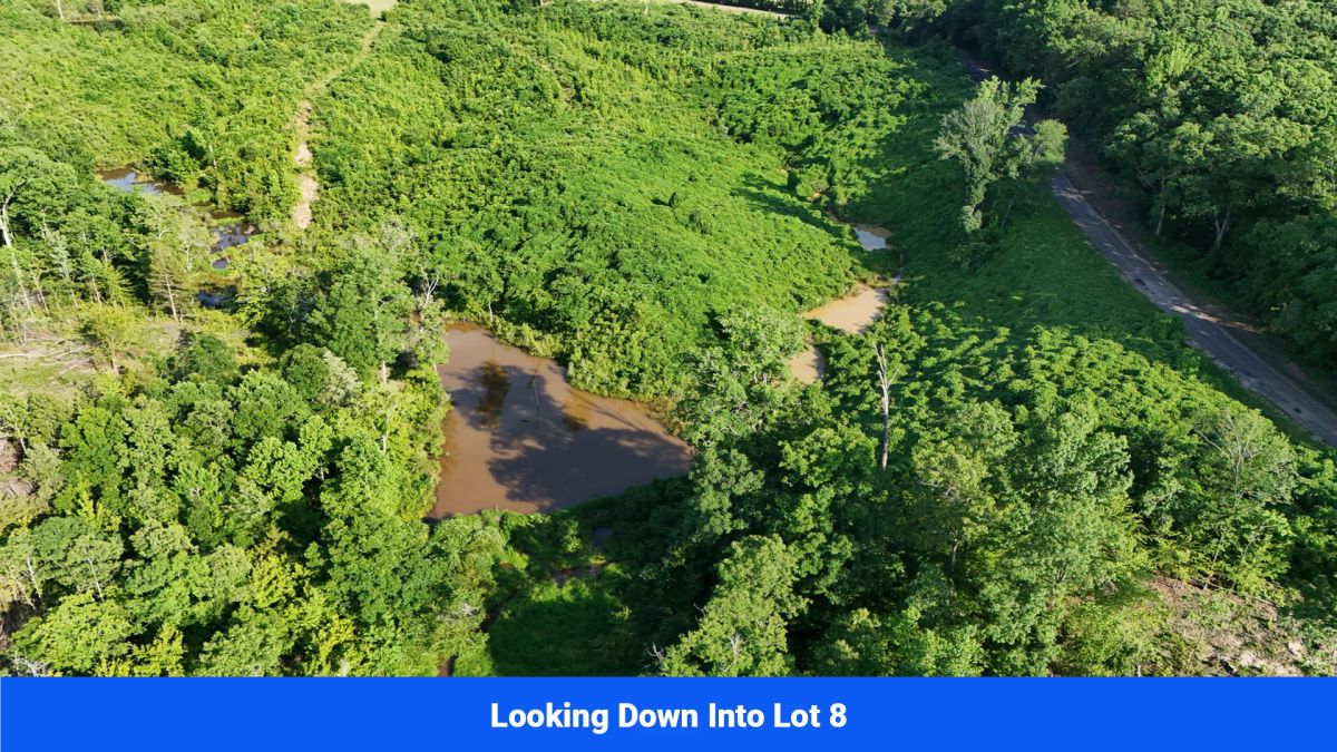 Decorative background for Webster, Mississippi’s Hidden Gem: Luxury 8‑Lot Subdivision! image 28