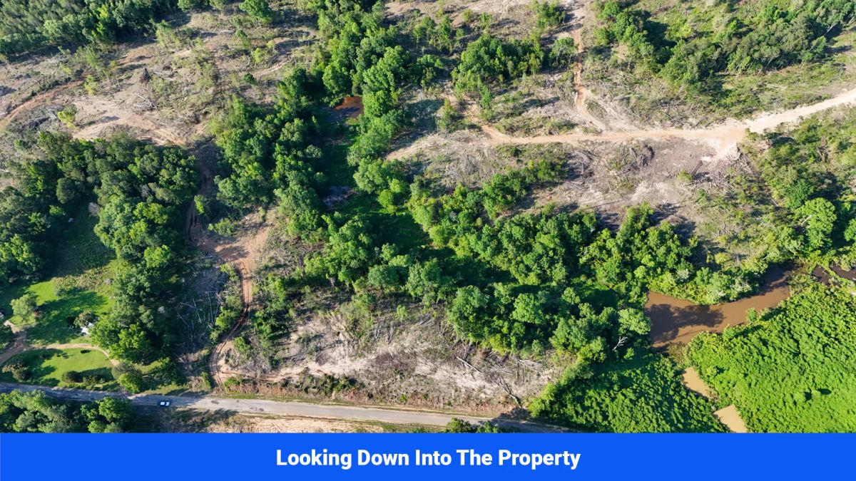 Decorative background for Webster, Mississippi’s Hidden Gem: Luxury 8‑Lot Subdivision! image 29