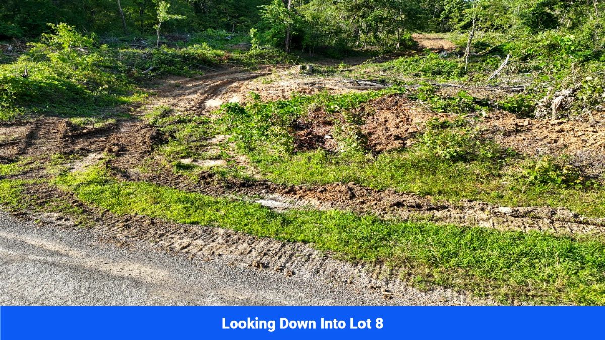 Decorative background for Webster, Mississippi’s Hidden Gem: Luxury 8‑Lot Subdivision! image 30