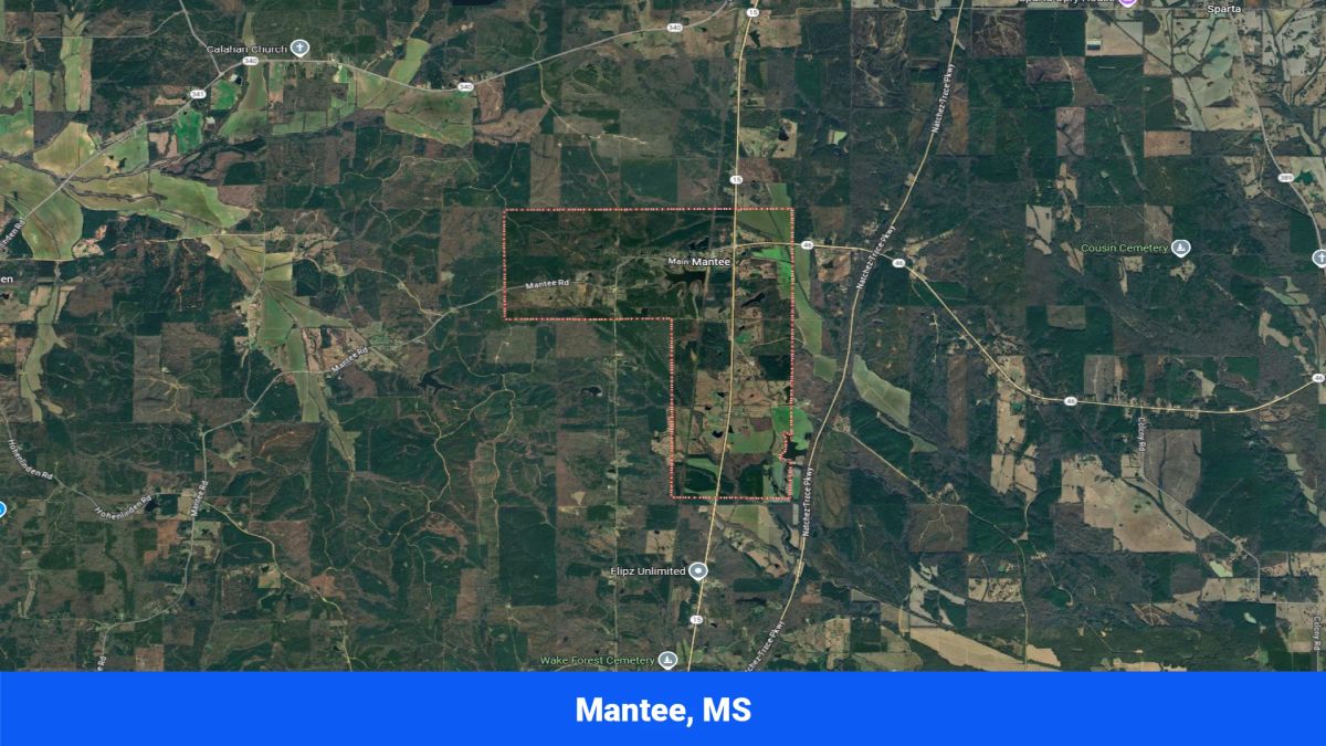 Decorative background for Webster, Mississippi’s Hidden Gem: Luxury 8‑Lot Subdivision! image 31