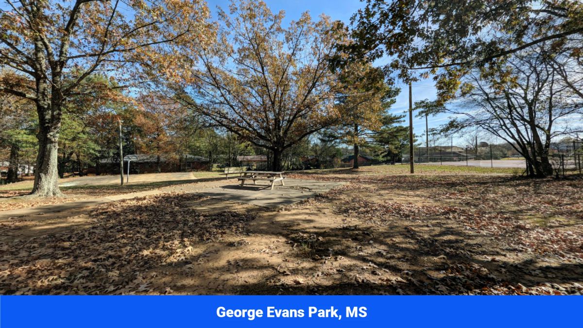 Decorative background for Webster, Mississippi’s Hidden Gem: Luxury 8‑Lot Subdivision! image 36