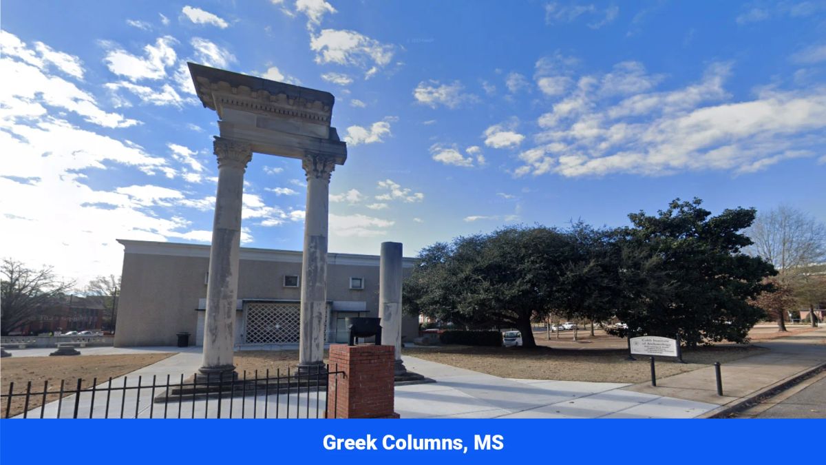 Decorative background for Webster, Mississippi’s Hidden Gem: Luxury 8‑Lot Subdivision! image 37