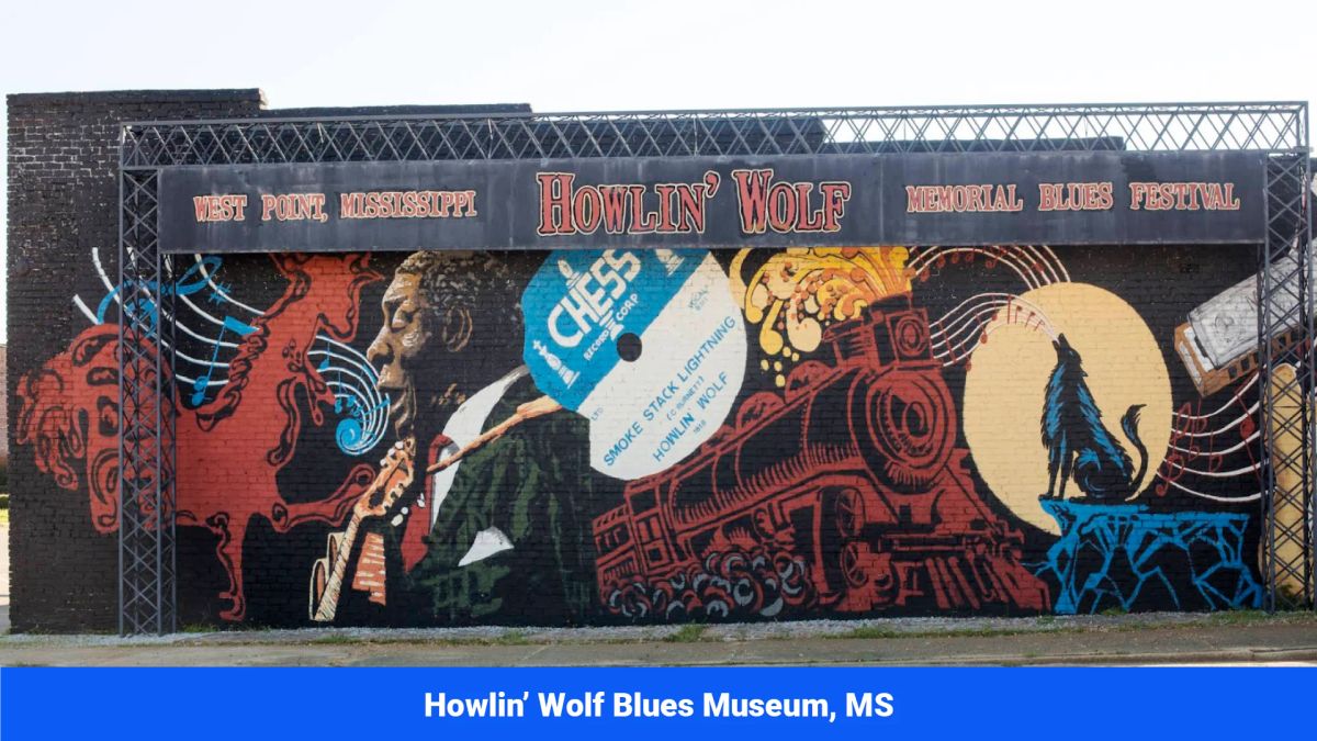 Decorative background for Webster, Mississippi’s Hidden Gem: Luxury 8‑Lot Subdivision! image 38
