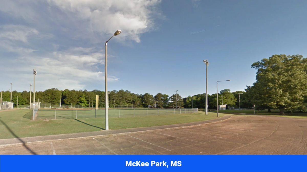 Decorative background for Webster, Mississippi’s Hidden Gem: Luxury 8‑Lot Subdivision! image 40