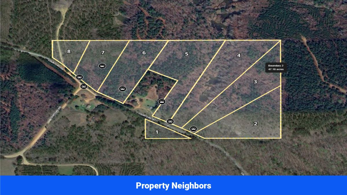Decorative background for Webster, Mississippi’s Hidden Gem: Luxury 8‑Lot Subdivision! image 46