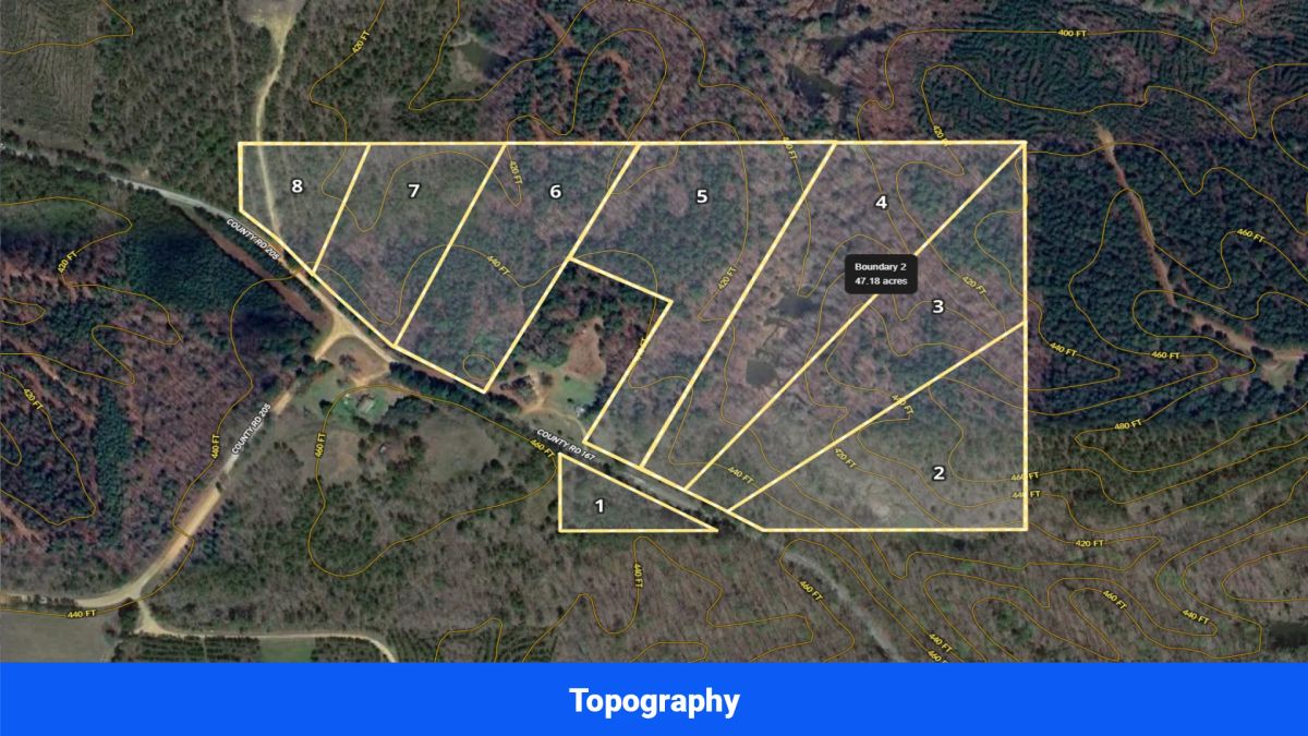 Decorative background for Webster, Mississippi’s Hidden Gem: Luxury 8‑Lot Subdivision! image 47