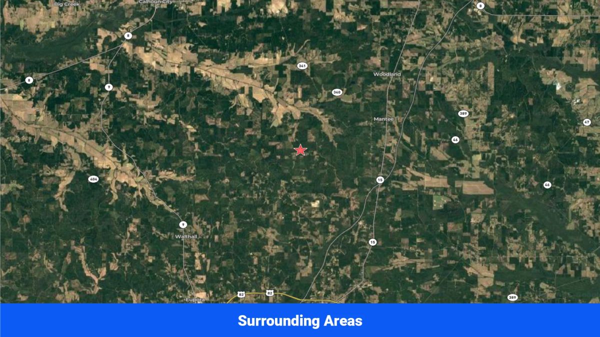 Decorative background for Webster, Mississippi’s Hidden Gem: Luxury 8‑Lot Subdivision! image 48