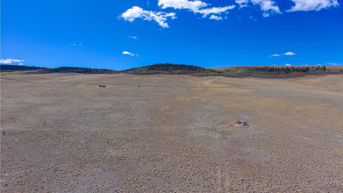 Wide-Open Skies & Endless Possibilities on 4.99 Acres in Park County, CO - Main image